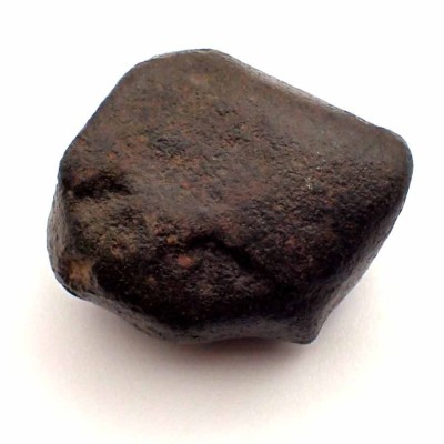 Buy meteorites Meteorite NWA 869  L- CA120