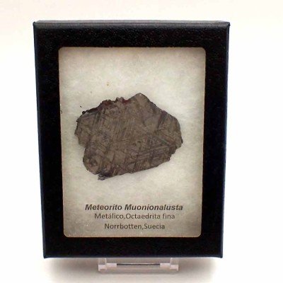 Buy Muonionalusta Meteorite CA126