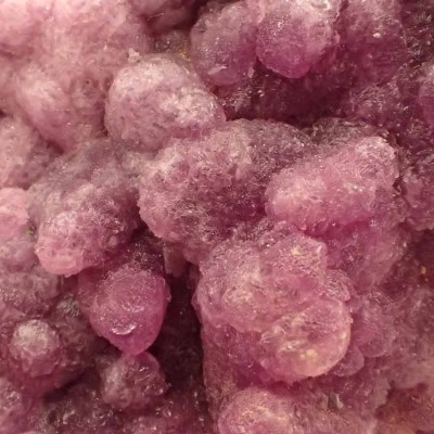 Cobaltoan Calcite-Mi098