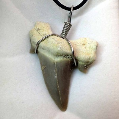Fossilized shark tooth pendant B04