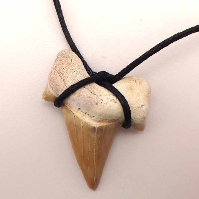 Fossilized shark tooth pendant B06