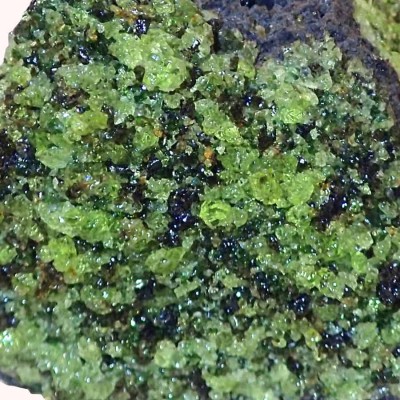 Lherzolita var. Peridotita-Mi162