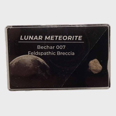 Buy Meteorites, Meteorite lunar Bechar 007-CA091