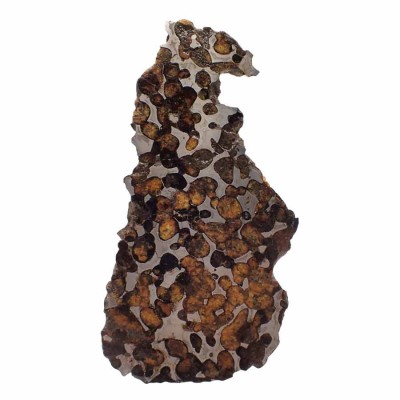 Sericho-Pallasite  Meteorite -CA132