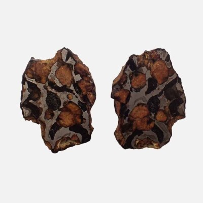 Buy Sericho-Pallasite  Meteorite-CA127