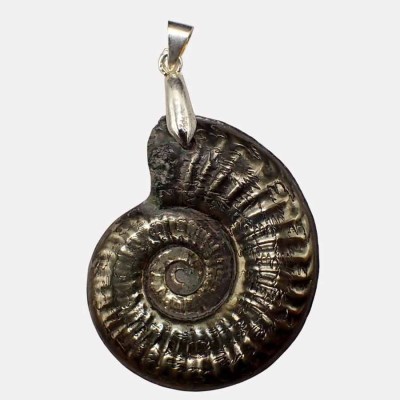 Fossil jewelry, Ammonites pendant -BF14
