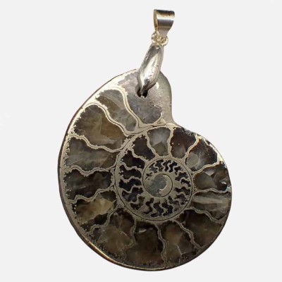 Fossil jewelry, Ammonites pendant -BF14