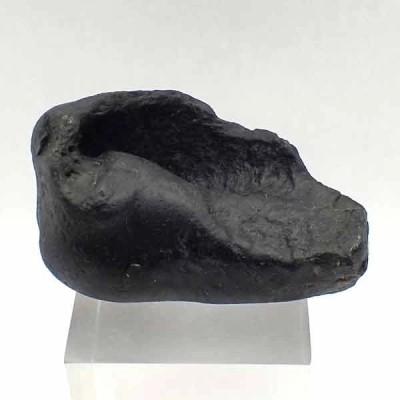  Tymphanic bulla