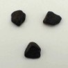  Meteorito NWA 869