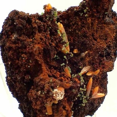 Wulfenita con Mimetita Wulfenita con Mimetita