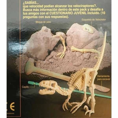 Excavacion Velociraptor Excavacion Velociraptor