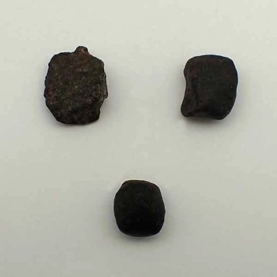  Meteorito NWA 869