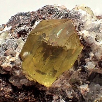 Fluorapatito