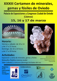 XXXIII Certámen de Minerales y Fósiles - Oviedo 2016