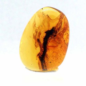 Amber-Época Terciaria, 25 millones de años-Simojovel,Chiapas,México