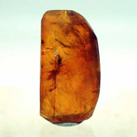 Amber-Época Terciaria, 25 millones de años-Simojovel,Chiapas,México
