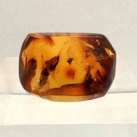 mexican amber-Chiapas,Mexico