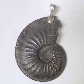 Colgante-ammonite-B40b3