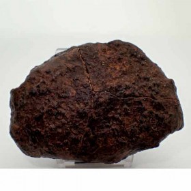 Meteorito-NWA-869-C31b