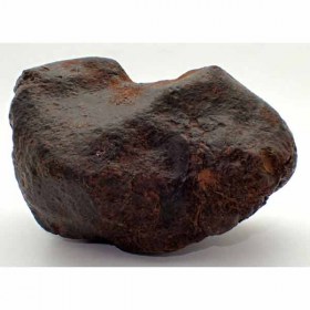 Meteorito-NWA-869-CA101b