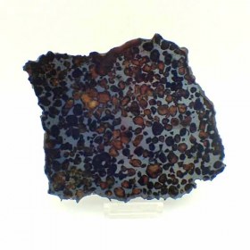 Meteorito-Sericho-pallasitab