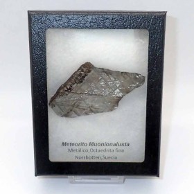 Meteorito Muonionalusta-Suecia