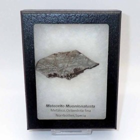 Meteorito Muonionalusta-Suecia