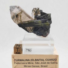 Turmalina(Elbaita) sobre Cuarzo _Gerais Mine,Brasil