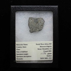 Meteorite NWA 869_Northwest Africa_Algeria